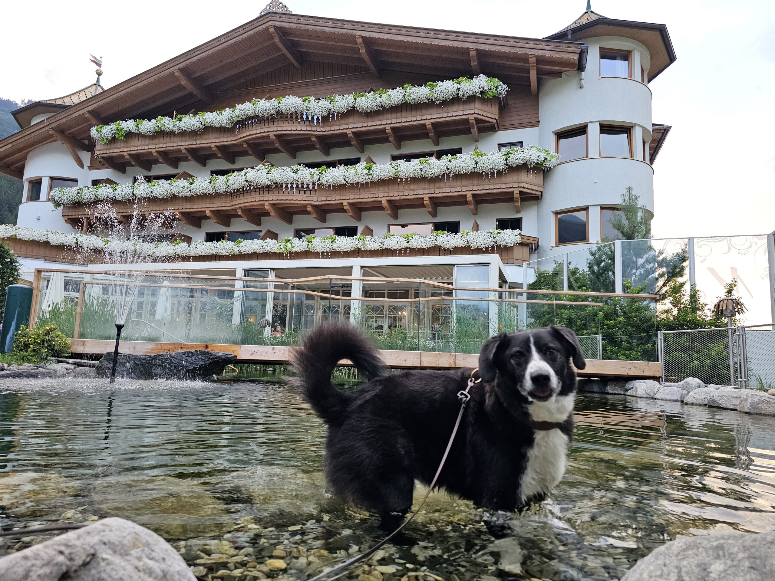 Yoga und Hund Hotel Magdalena